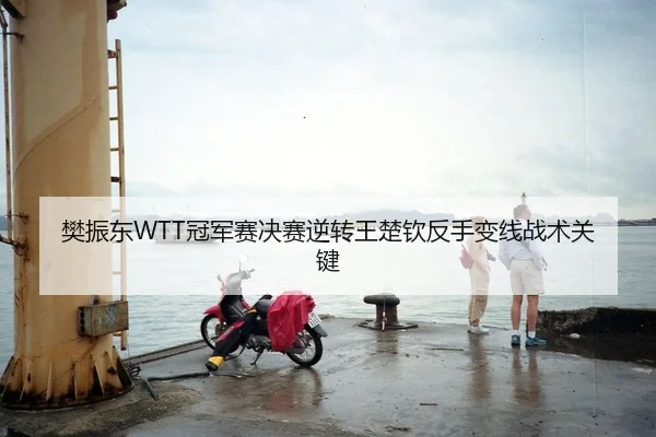 樊振东WTT冠军赛决赛逆转王楚钦反手变线战术关键
